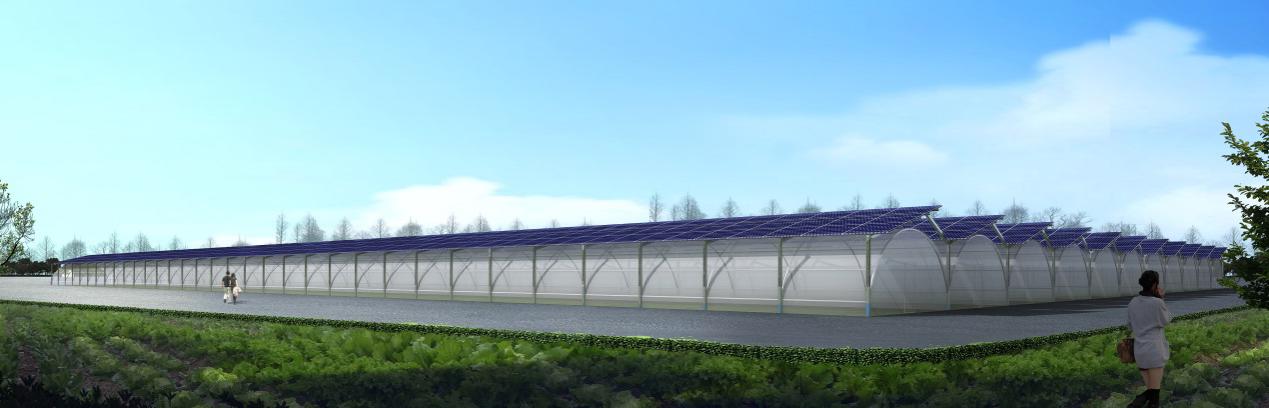 1475135096957317.jpg 晶科電力.jpg