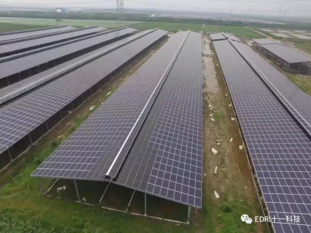 1499328061105356.jpg 19.jpg